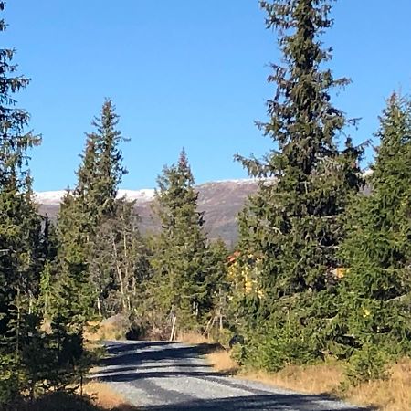 Sykkelhytte Ved Slatten I Synnfjellet Nord Torpa Esterno foto